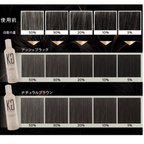 KYOGOKU 卡雅仕染髮系列